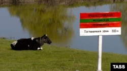 One of 150 signs set up by Ukraine along its border with Moldova's breakaway region of Transdniester in 2006