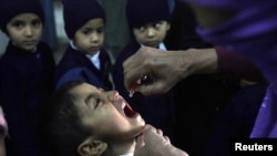 Nine polio-immunization workers have been killed by Islamist militants in the past week. 