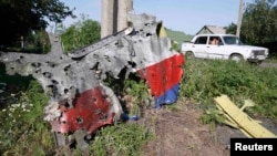 A piece of the wreckage is seen at a crash site of the Malaysia Airlines Flight 17 in the village of Petropavlivka in Donetsk region on July 24.