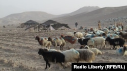 A Kuchi camp in southern Afghanistan. (file photo) 