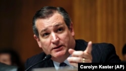 U.S. Senator Ted Cruz (file photo)