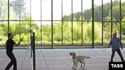 President Dmitry Medvedev and Prime Minister Vladimir Putin play badminton at the presidential residence in Sochi