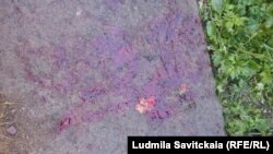 The blood of a dog that was attacked and carried away by a wolf in the village of Morino.