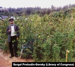 A man pauses mid-cigarette next to a crop of plants in the Batumi Botanical Gardens.