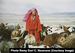 A Pamir Kyrgyz woman watches over sheep and goats in the panhandle of Afghanistan.