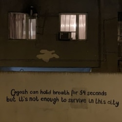 An inscription on a Tbilisi wall about the city's air pollution