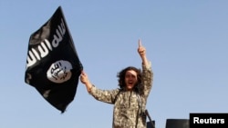 A militant waves the Islamic State flag in Syria's northern Raqqa Province. (file photo)