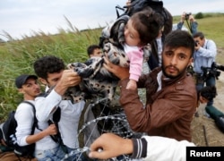 A Syrian migrant hands a small child to another migrant over the Hungarian-Serbian border fence, as they cross into Hungary near Roszke on August 26.