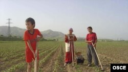 Tajikistan says it needs $260 million to fund its poverty-reduction program. The Ernst & Young audit's findings could put the country's ability to secure foreign investment.