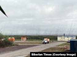 Columns of mosquitos rise above the swampy area on the banks of the Kamchatka River.