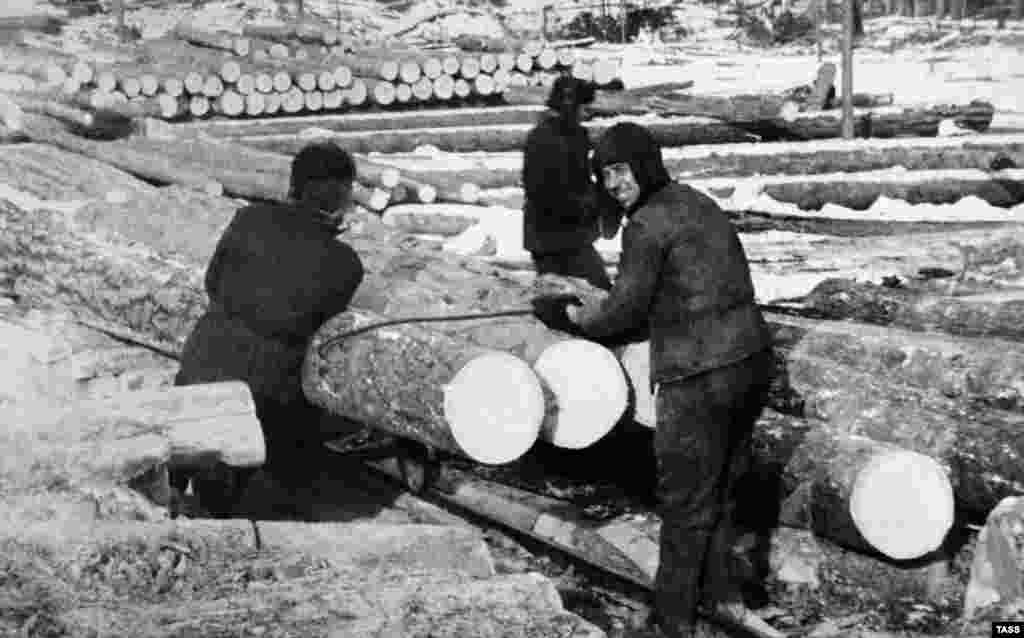 Convicts work on timber at Ozerlag, one of the largest Stalin-era concentration camps, in the Irkutsk region of Siberia. (undated)