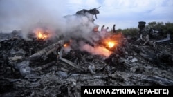 Debris from Malaysia Airlines flight MH17 near Donetsk on July 17, 2014