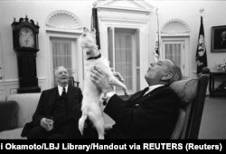 All the way to the White House. Dogs like Lyndon B. Johnson's mutt Yuki, said to have been found by Johnson's daughter at a Texas gas station, have become a U.S. presidential tradition.