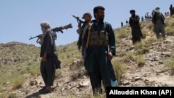 Militants in the Taliban Military Affairs Commission’s “western zone.” 