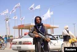 A Taliban fighter stands with his rifle in the city of Ghazni on August 14.