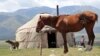 A settlement on Kyrgyzstan's Suu-Samyr plateau, along the ancient Silk Road from Bishkek to Osh