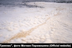 A milky foam floats on the waters around Kamchatka.