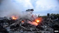 Debris of the Malaysia Airlines flight MH17, which crashed flying over the eastern Ukraine region near Donetsk on July 17, 2014.