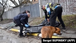 Bucha is a crime scene: a corpse is placed in a body bag for removal from the street in Bucha on April 3.