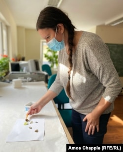 Dankilov, in her laboratory on the banks of the Danube River, handling butterfly specimens