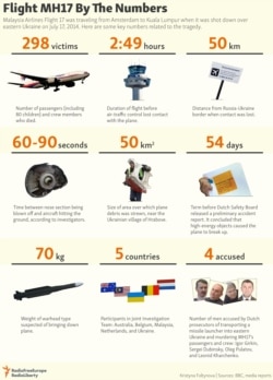 INFOGRAPHIC: Flight MH17 By The Numbers