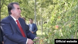 Tajik President Emomali Rahmon was the only candidate who was said to have collected enough signatures to run in the election, which is just a month away.