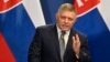 Slovakia stopped military aid to Ukraine after populist politician Robert Fico became prime minister in October 2023. (file photo)