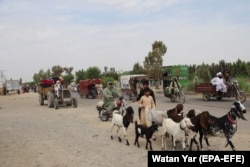 Afghans flee their villages during an ongoing large-scale attack by the Taliban in Helmand Province on May 4.