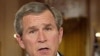 U.S.: Can Bush Take Credit For Middle East Democracy Movements?