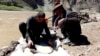 Digging And Desperate: Afghans Risk Lives To Illegally Mine Gold video grab 1