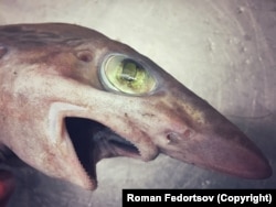 A juvenile goblin shark. The sharks grow up to 4 meters long and are unique for their jaws, which lunge forward dramatically when the shark is attacking.