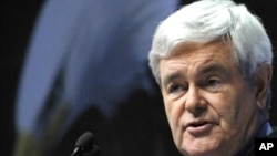 Former speaker of the House of Representatives Newt Gingrich.