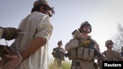 U.S. Marines detain an Afghan suspect during an operation on July 7 in the Garsmir district of Helmand Province, where Western troops are due to hand over security responsibility to local forces.