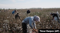 Rights groups have called on Uzbekistan for many years to eradicate a long-running state-controlled system forcing millions of citizens to pick cotton and meet harvest quotas.