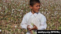 Students are routinely sent into the cotton fields of Central Asia to help with the harvest each year, despite widespread criticism by human rights groups.